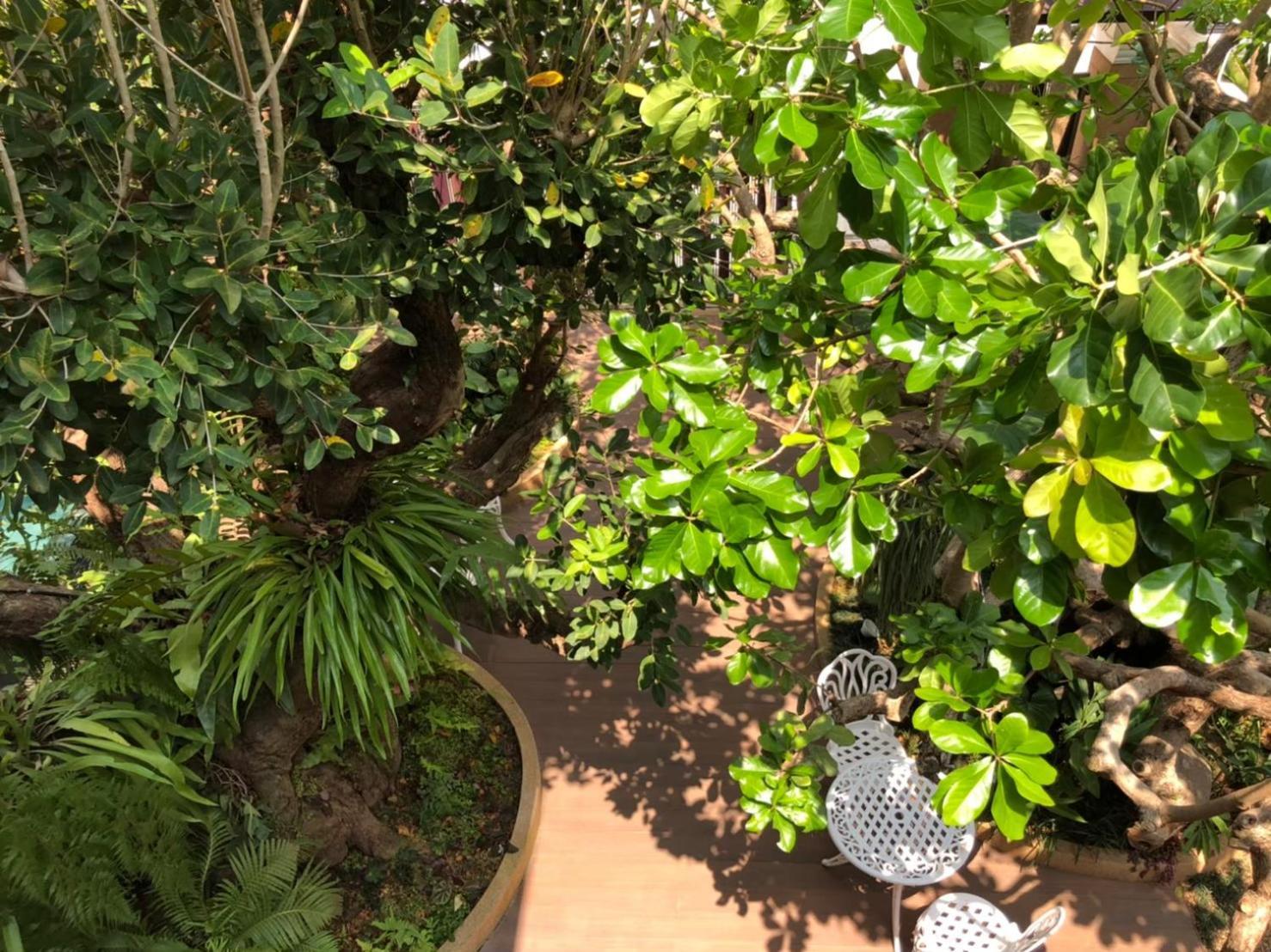 Back To Nature Aonang Boutique Pool Villa Ao Nang エクステリア 写真
